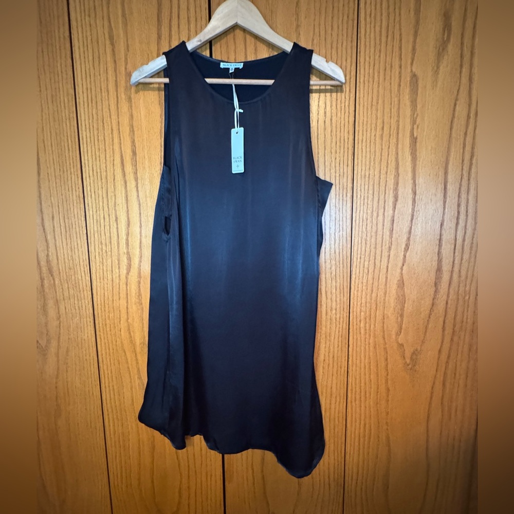 Black swan NWT Elegant Black Sleeveless dress with side cutouts
